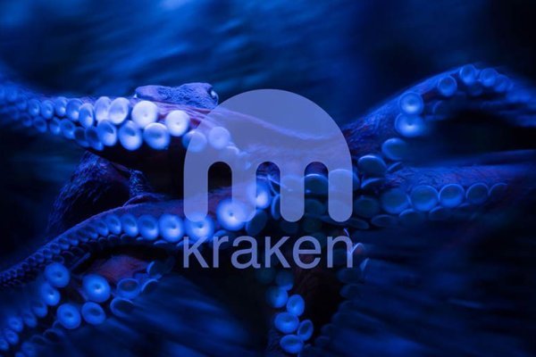 Kraken гидра